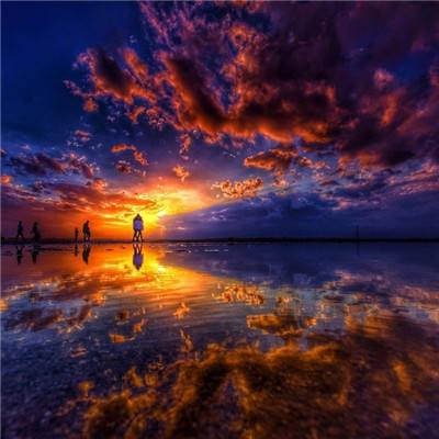 万博max手机登录版